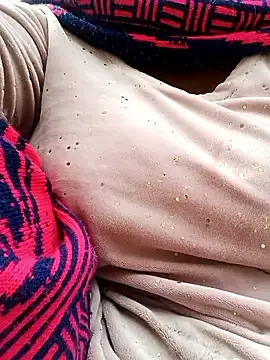 Desi_Biwi: διαδικτυακό σόου στην κάμερα