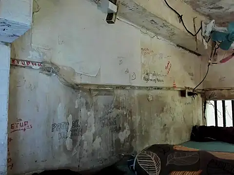 Chat XXX Live manilafoxts