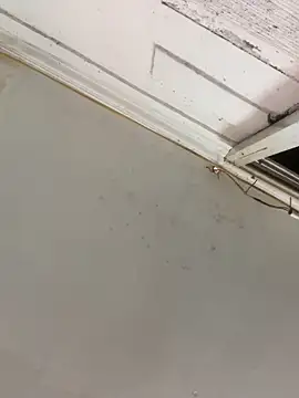 Mon_babyy 网络视讯表演