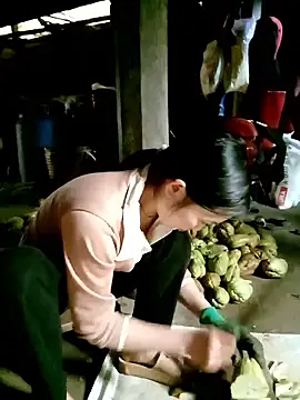 ngan-cute Live XXX-chat