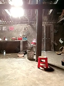 แชท XXX สดของ ngan-cute