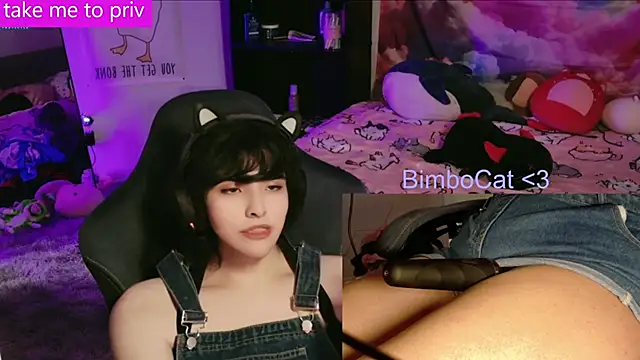 BimboCat élő XXX-chatje
