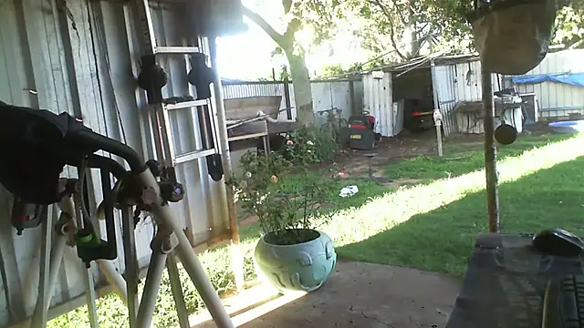 herbie010666 élő XXX-chatje