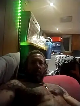 AceticPinscher élő XXX-chatje