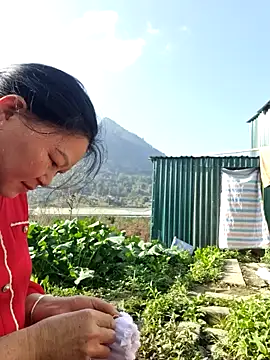 yoowwmr Live XXX-Chat