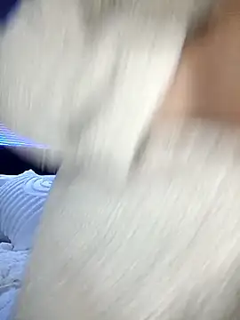 SalientGoddess' Live XXX Chat