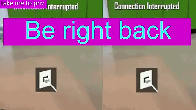 Show webcam de BimboCat