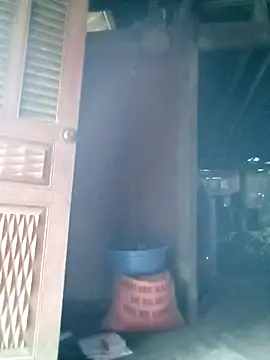 ngan-cuten Live XXX chat