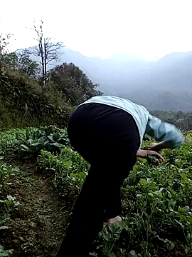 ngan-cute Obrolan Langsung XXX