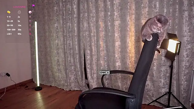 Chat XXX Live Hoot_owl_cb