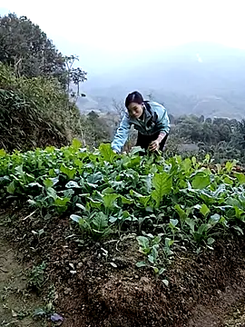 ngan-cute's Live XXX Chat