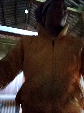 jerry-xx: απευθείας συνομιλία ΧΧΧ