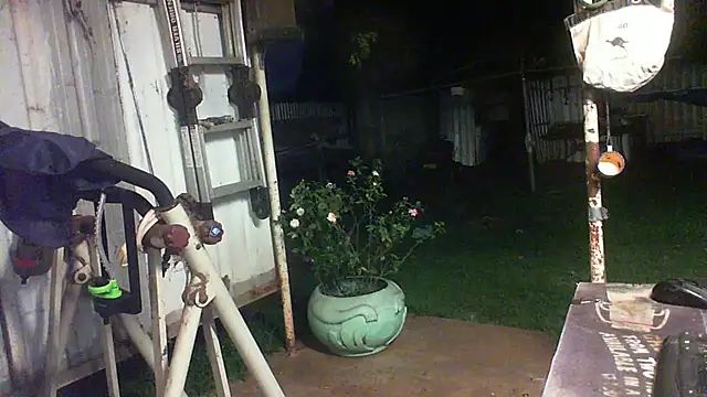 herbie010666: онлайн-секс-чат