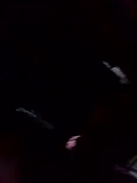 Ruby-224's Live XXX Chat