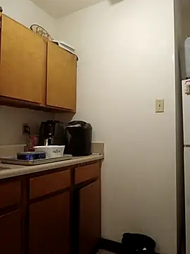 Chat +18 de ReallyReallyReal ao vivo