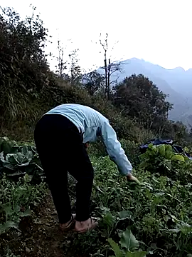 ngan-cute: онлайн-секс-чат