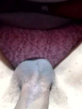 braulio1902jd's Live XXX Chat