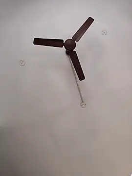 vinay_smalldick's Live XXX Chat