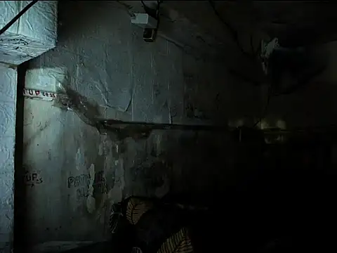 manilafoxtsのライブXXXチャット