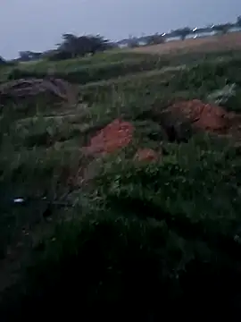 Chat +18 de dolphiinn ao vivo