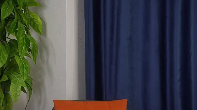 AvisLevien Webcam show