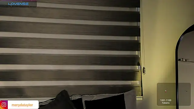 MERIDA_TAYLOR Show in webcam