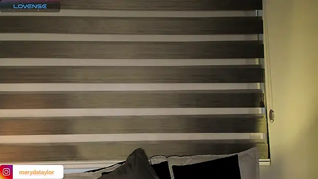 MERIDA_TAYLOR 即時 XXX 聊天