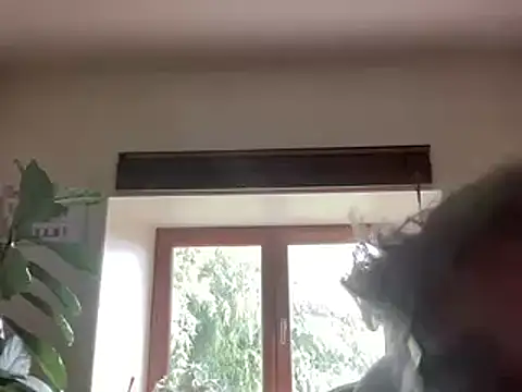 chtentationn Live XXX chat