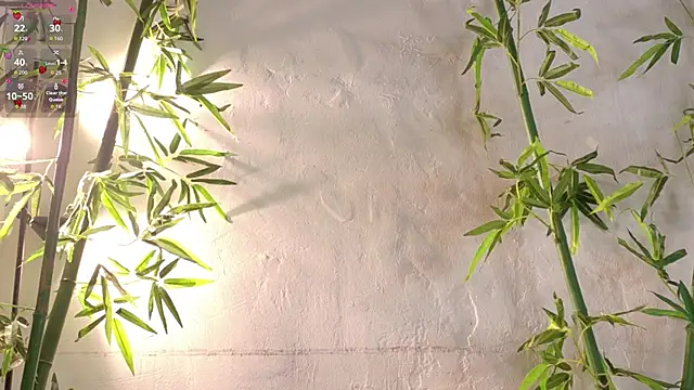 Živý XXX chat natalia_aguirre1