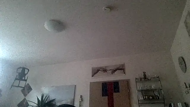 Seltsamoder Webcamshow