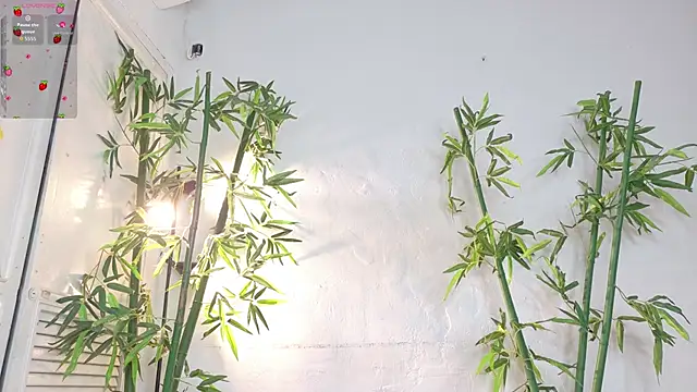 natalia_aguirre1n Live XXX chat