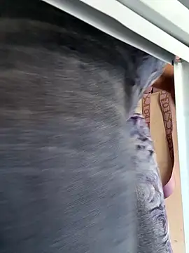 แชท XXX สดของ siri_duque