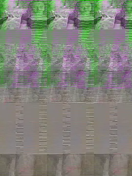 Kiran_bhabi Live XXX-chat