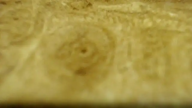 Adam4youu Live XXX Chat