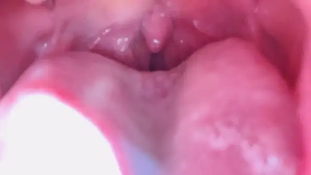 LT-333 在線直播表演