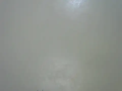 Rasta_tattooed Live XXX-chat