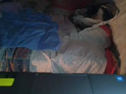 VeneRed Live XXX Chat