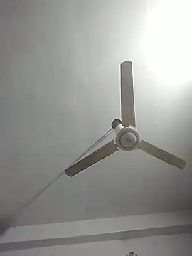 momo_loves Live XXX-chat