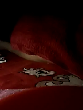 -Bunny-y's Live XXX Chat