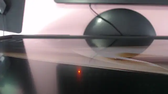 raven_ch_1 – webcam-show