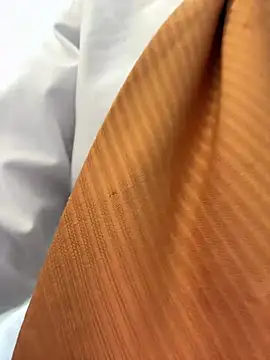 Emily-7_: απευθείας συνομιλία ΧΧΧ