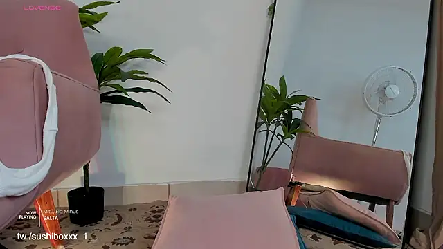 sushiboxxx Adlı Modelin Canlı XXX Sohbeti