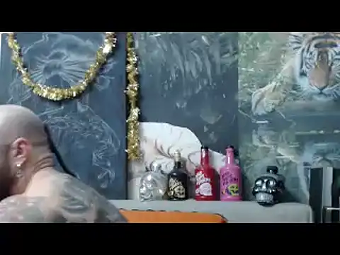 viking_30 webcam show