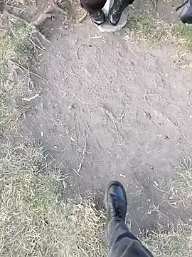 sophie_banger – Live XXX-chat