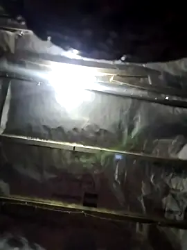 Show webcam de GirthKingBBC