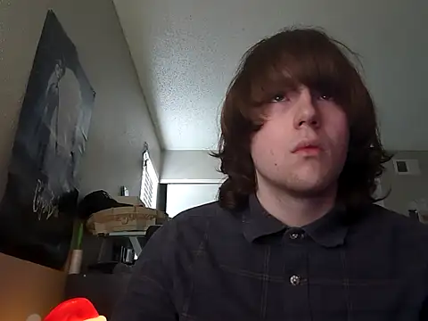 2007slave's Webcam Show