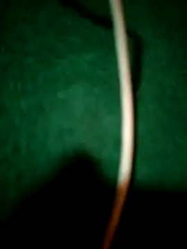 kenzzzz's Live XXX Chat