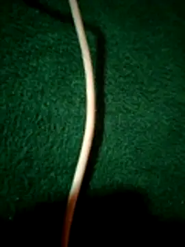 kenzzzz's Live XXX Chat