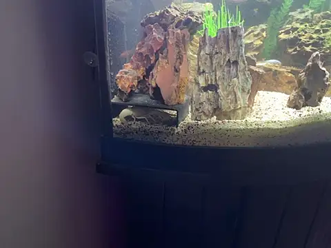 Cooper_Bandit's Live XXX Chat