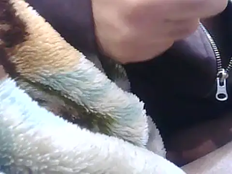 brilliant9's Live XXX Chat